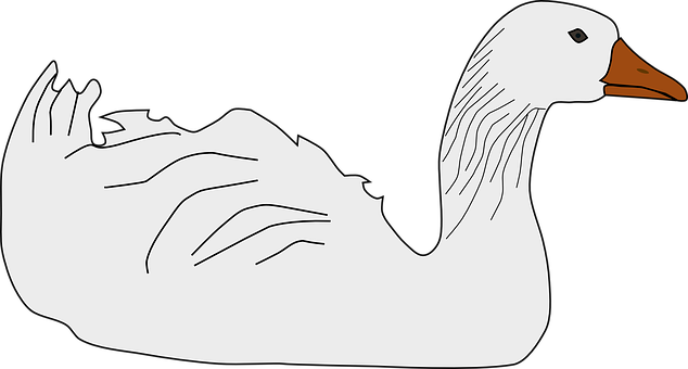 A White And Black Drawing Of A Person's Face