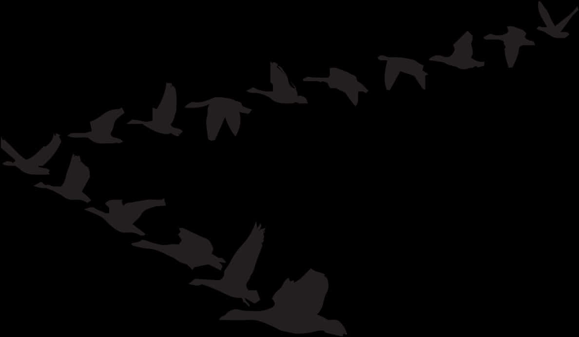 Goose Clip Art Bird Flight Vector Graphics - Kaname Akamatsu Flying Geese Model, Hd Png Download