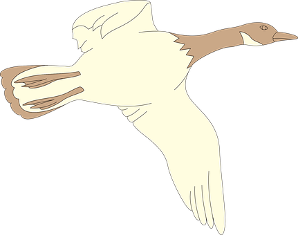 A White And Brown Bird Flying