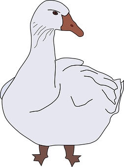 A White Goose With A Brown Beak