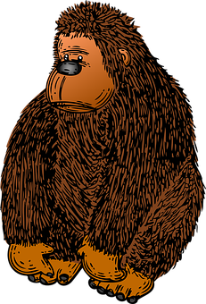 A Cartoon Of A Bear