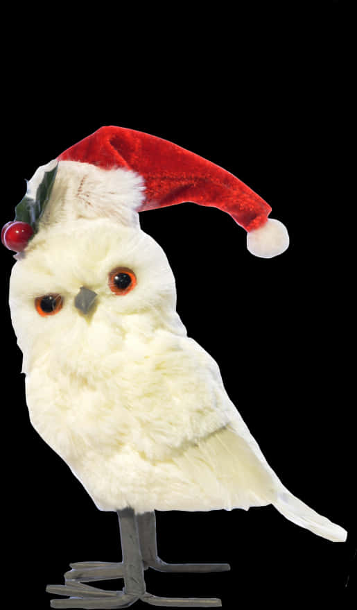 A White Owl Wearing A Santa Hat