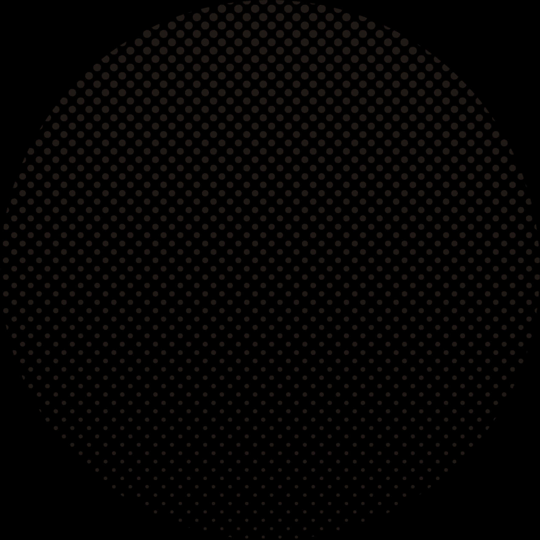 A Black Circle With Brown Dots