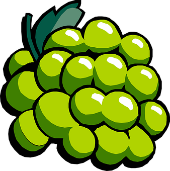 Grape Png 338 X 340