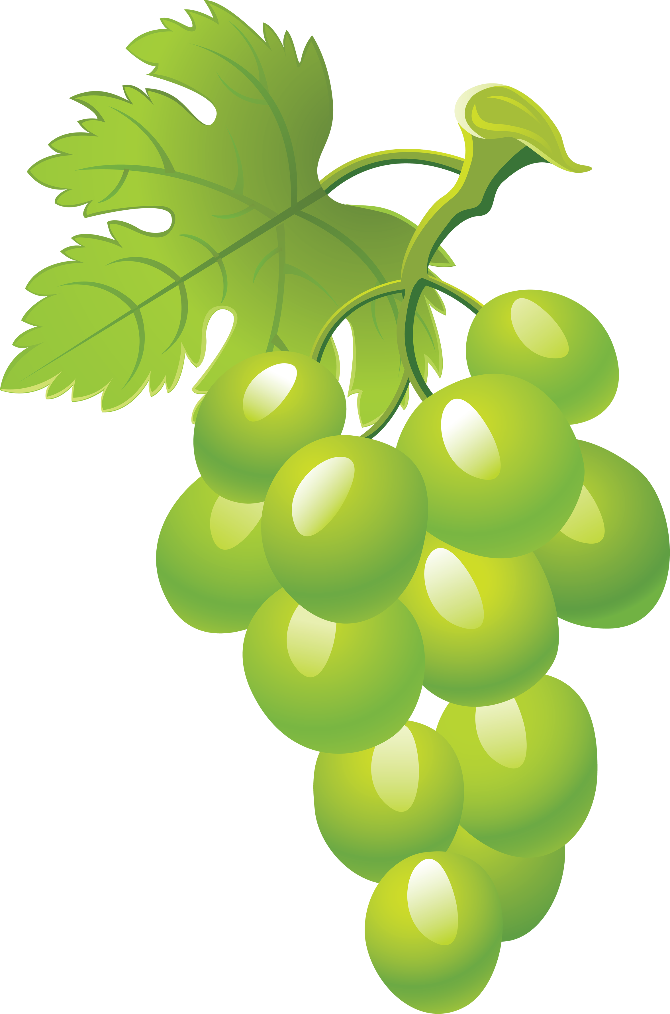 Grape Clipart Sona - Transparent Background Green Grapes Clipart, Hd Png Download