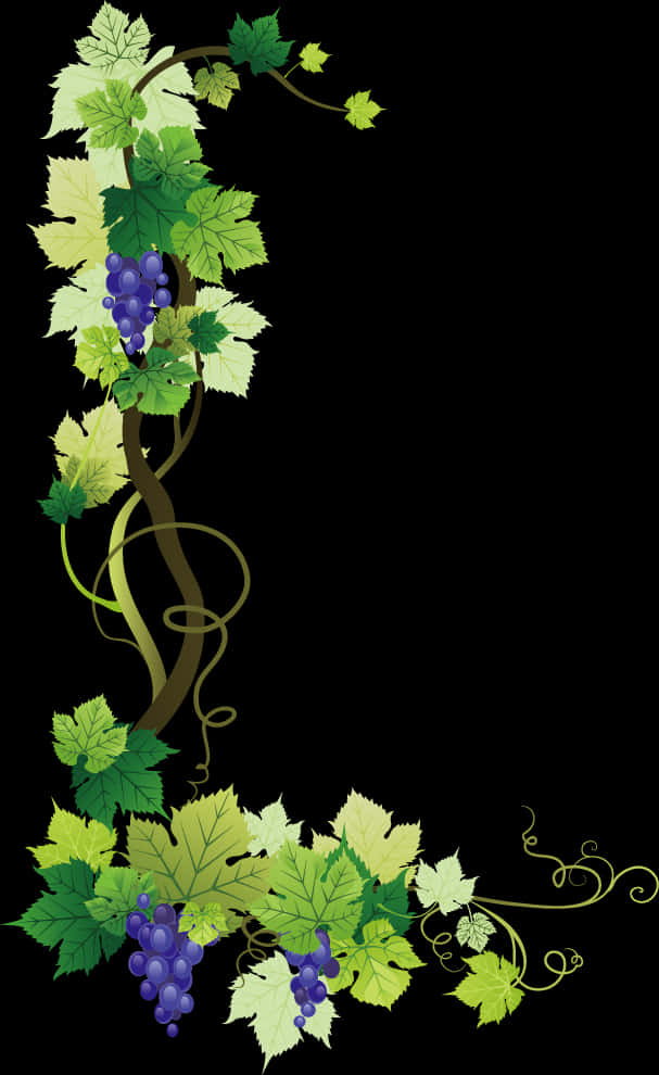 Grape Corner Vines