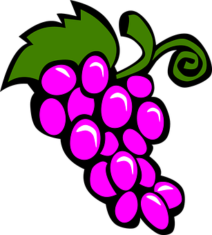 Grape Png 307 X 340