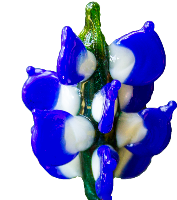 A Blue And White Flower