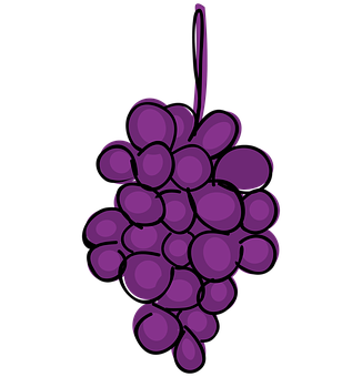 Grape Png 326 X 340