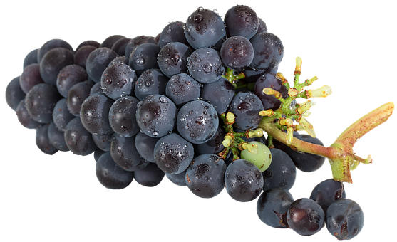 A Bunch Of Grapes With Water Drops On It