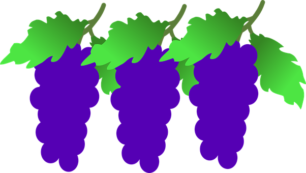 A Bunch Of Grapes On A Black Background