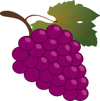 A Purple Grapes With Green Leaves