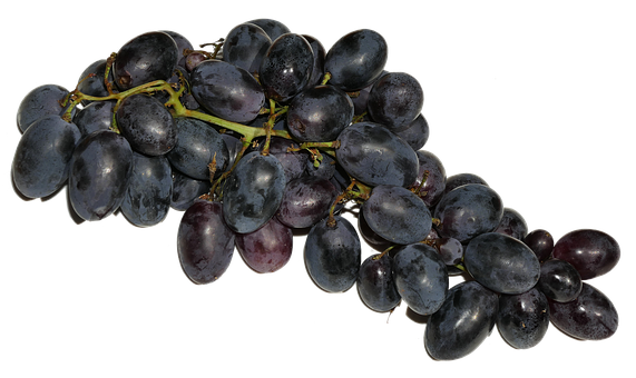 A Bunch Of Grapes On A Black Background
