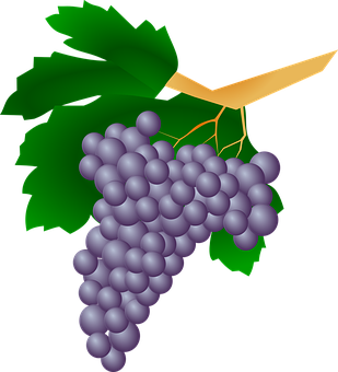 A Bunch Of Grapes With Leaves