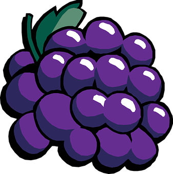 A Purple Grapes With Green Leaves
