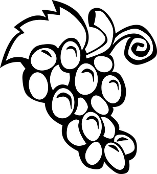 A White Grapes On A Black Background