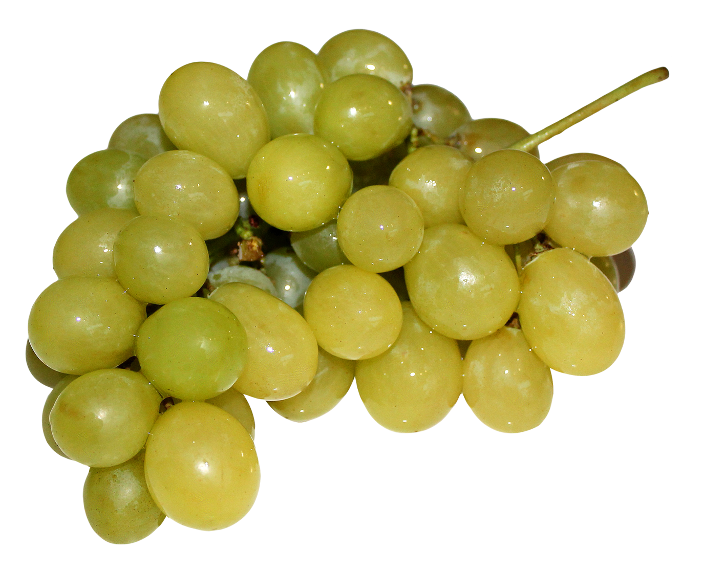 Grapes Png 1373 X 1118