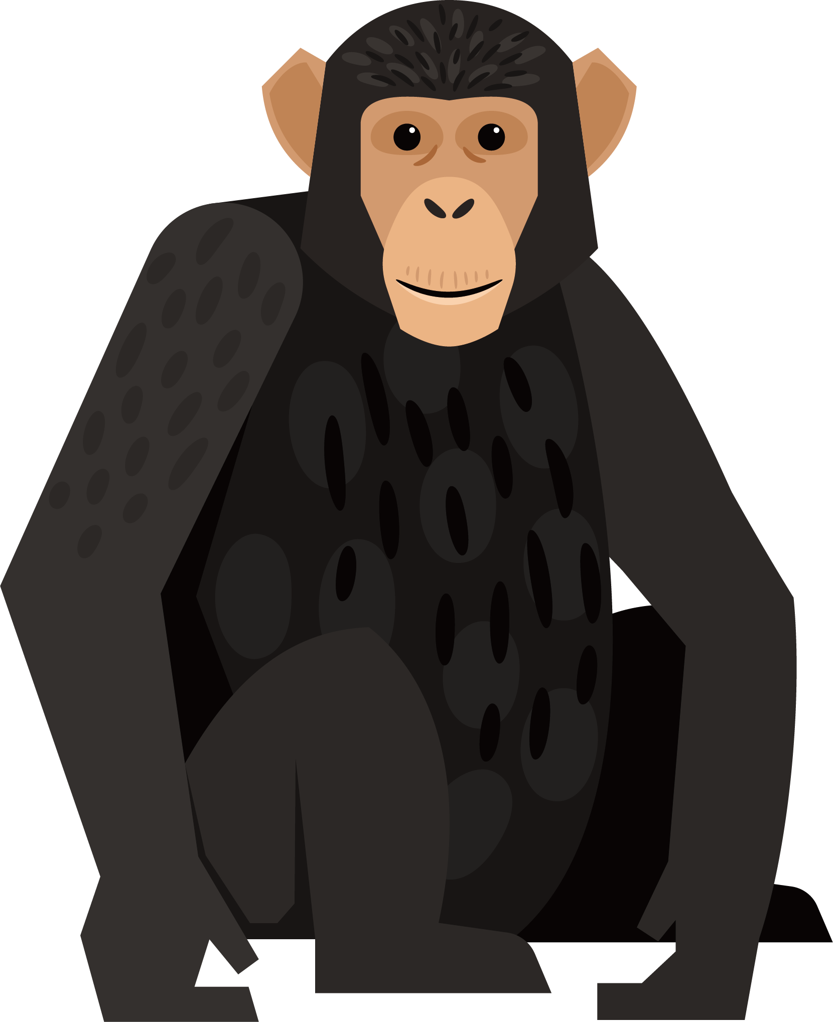 Graphic Royalty Free Chimpanzee Monkey Orangutan Black - Chimpanzee Graphic, Hd Png Download