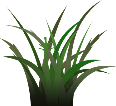 A Green Grass With A Black Background