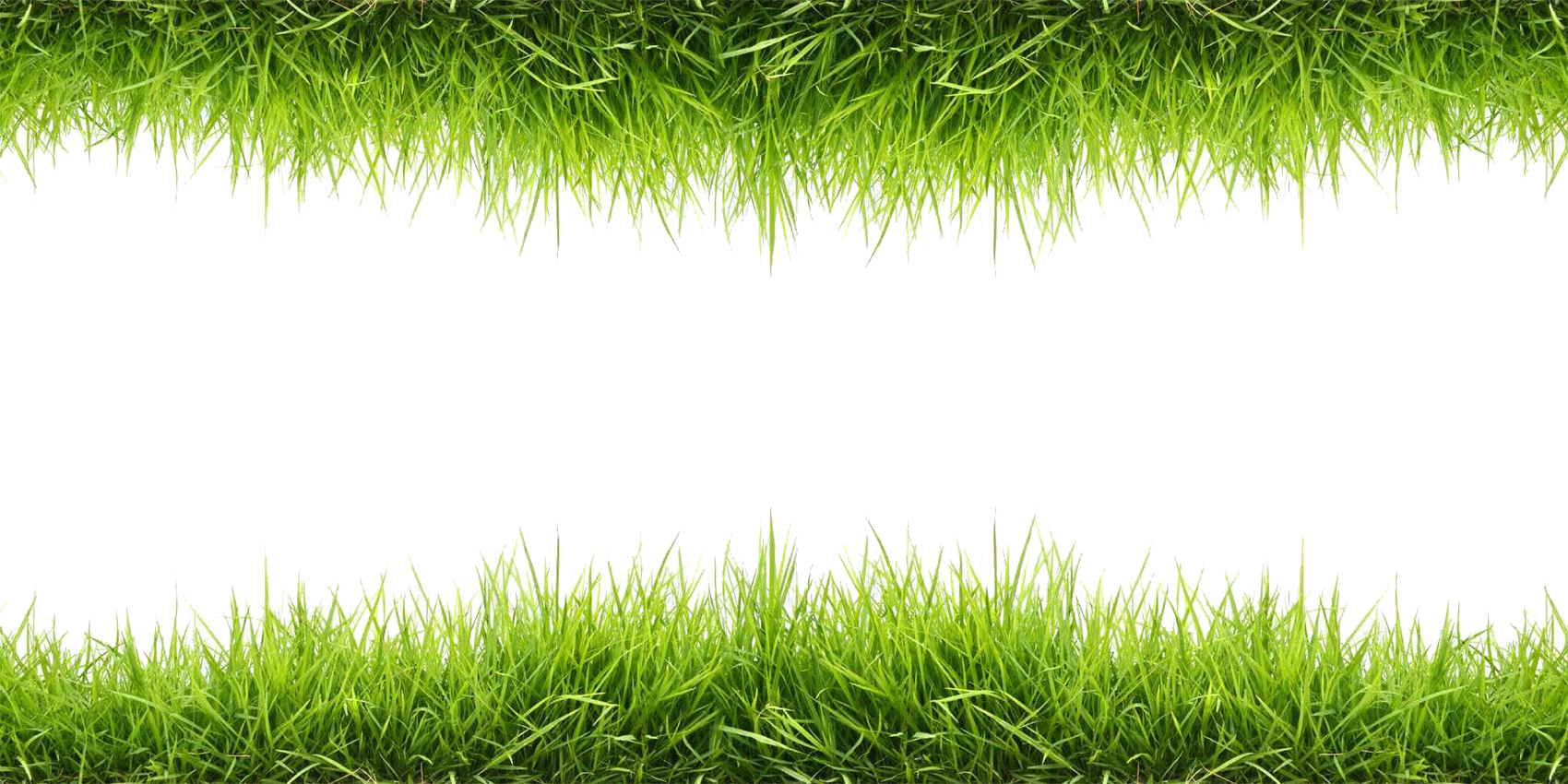 Grass Png 1700 X 850