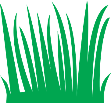 A Green Grass On A Black Background