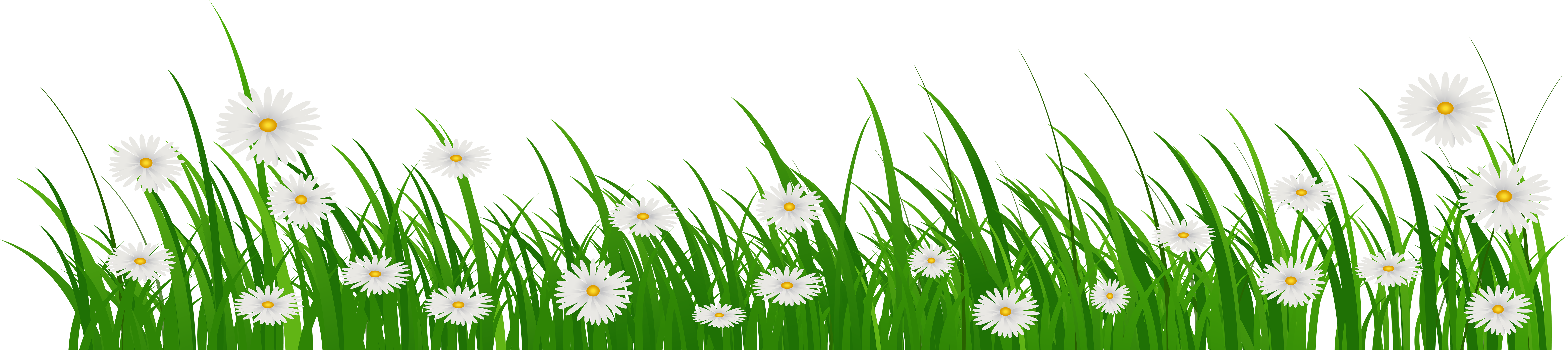 Grass Flower Png 7811 X 1746