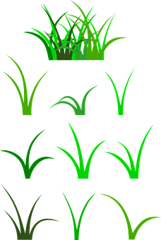 A Group Of Green Grass