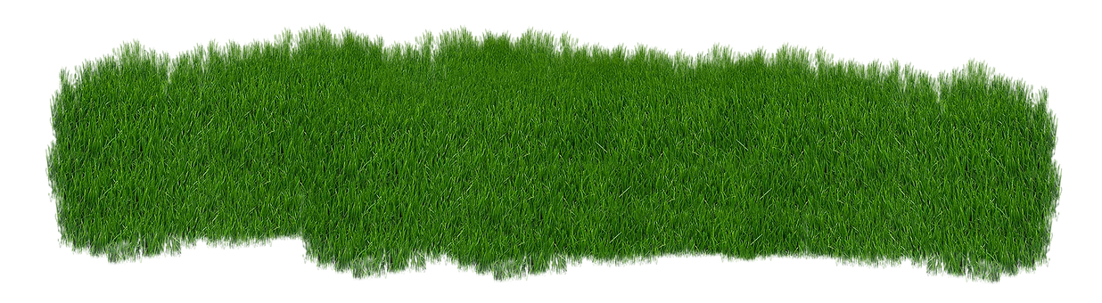 A Close-up Of A Patch Of Grass