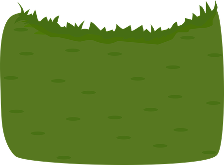 A Green Grass With Black Background
