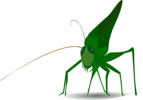 A Green Insect With Long Legs And Wings
