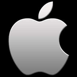 Gray Apple Logo With Gradient