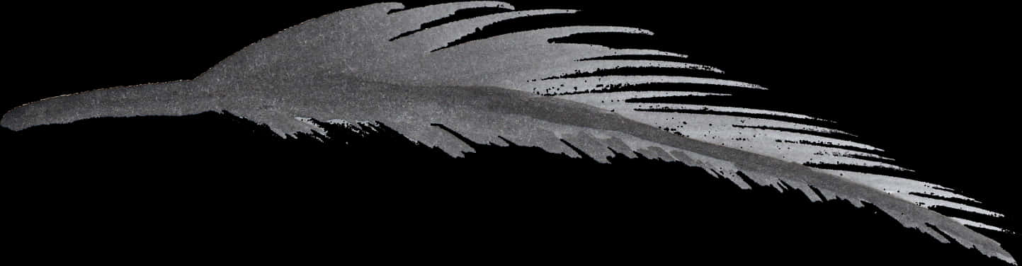 Gray Bird Feather