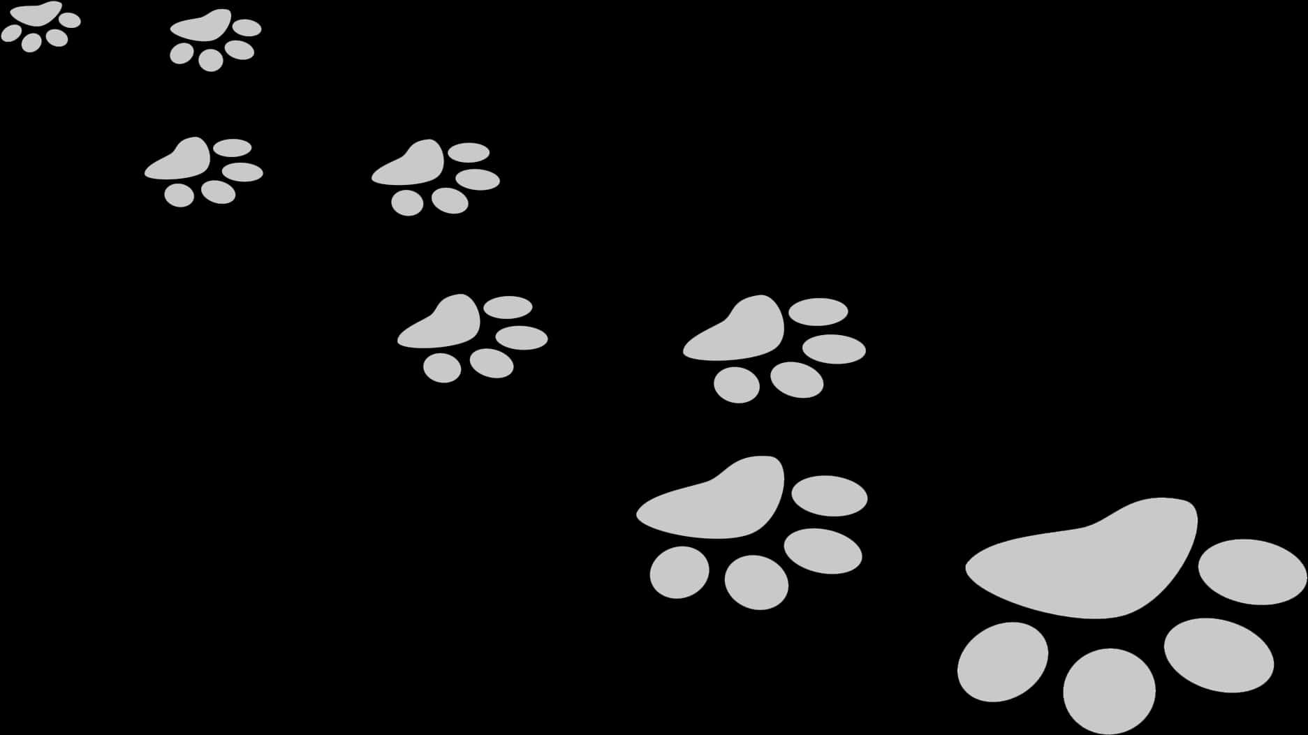 A Group Of Paw Prints On A Black Background