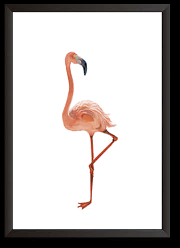 A Pink Flamingo With Long Legs