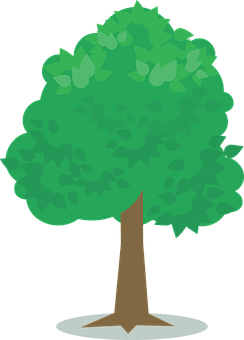 Green Png 244 X 340