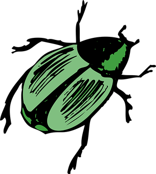 A Green Vegetable On A Black Background