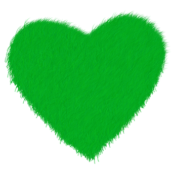 A Green Heart Shaped Object With Black Background