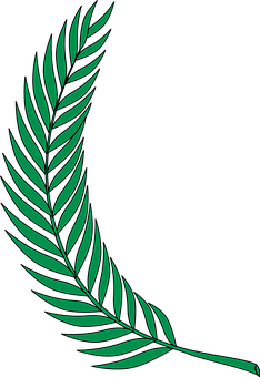 Green Png 234 X 340