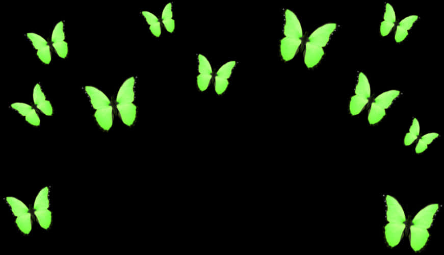 A Group Of Green Butterflies
