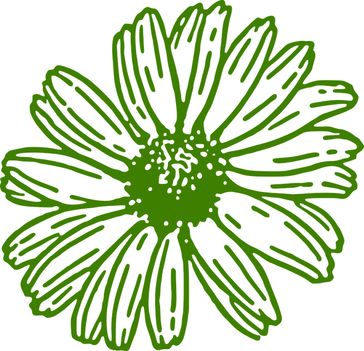 A Green Flower With Black Background