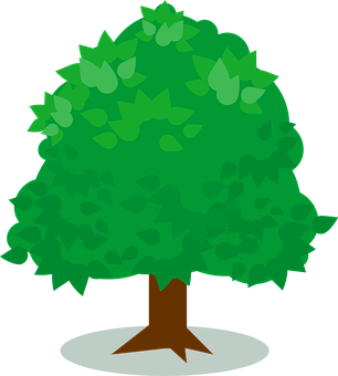 A Green Tree With Leaves