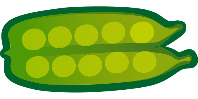 A Green Oval With White Circles