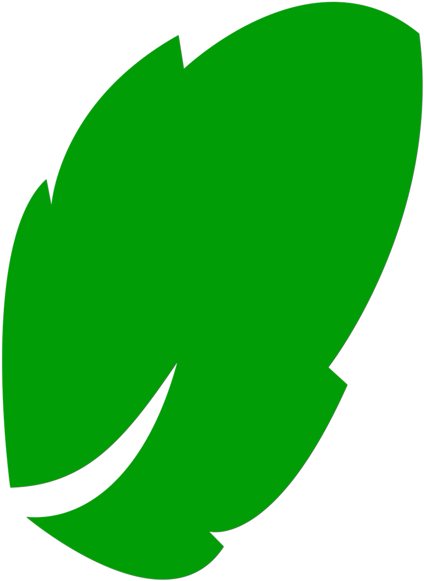 A Green Leaf With Black Background