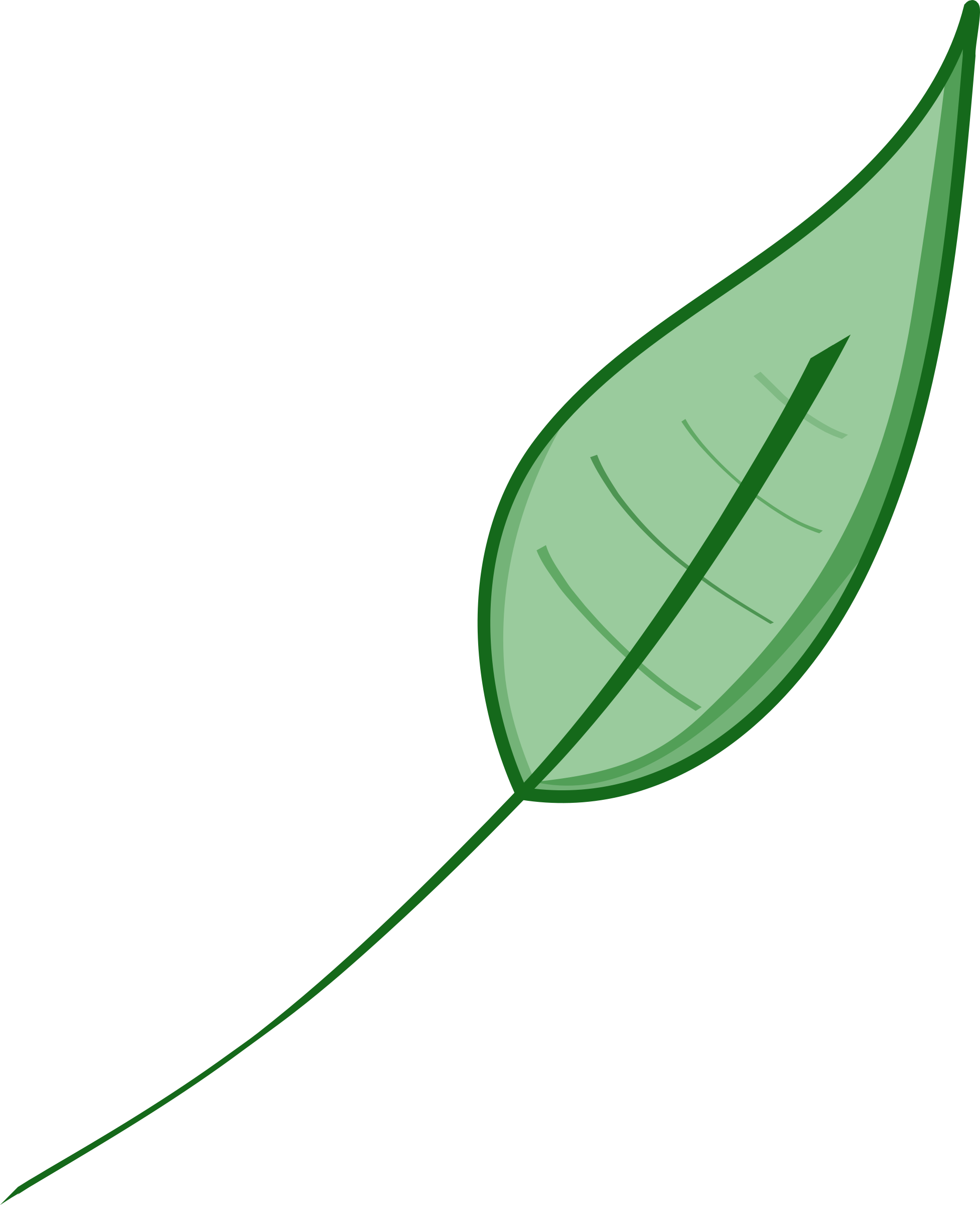 A Green Leaf With A Black Background