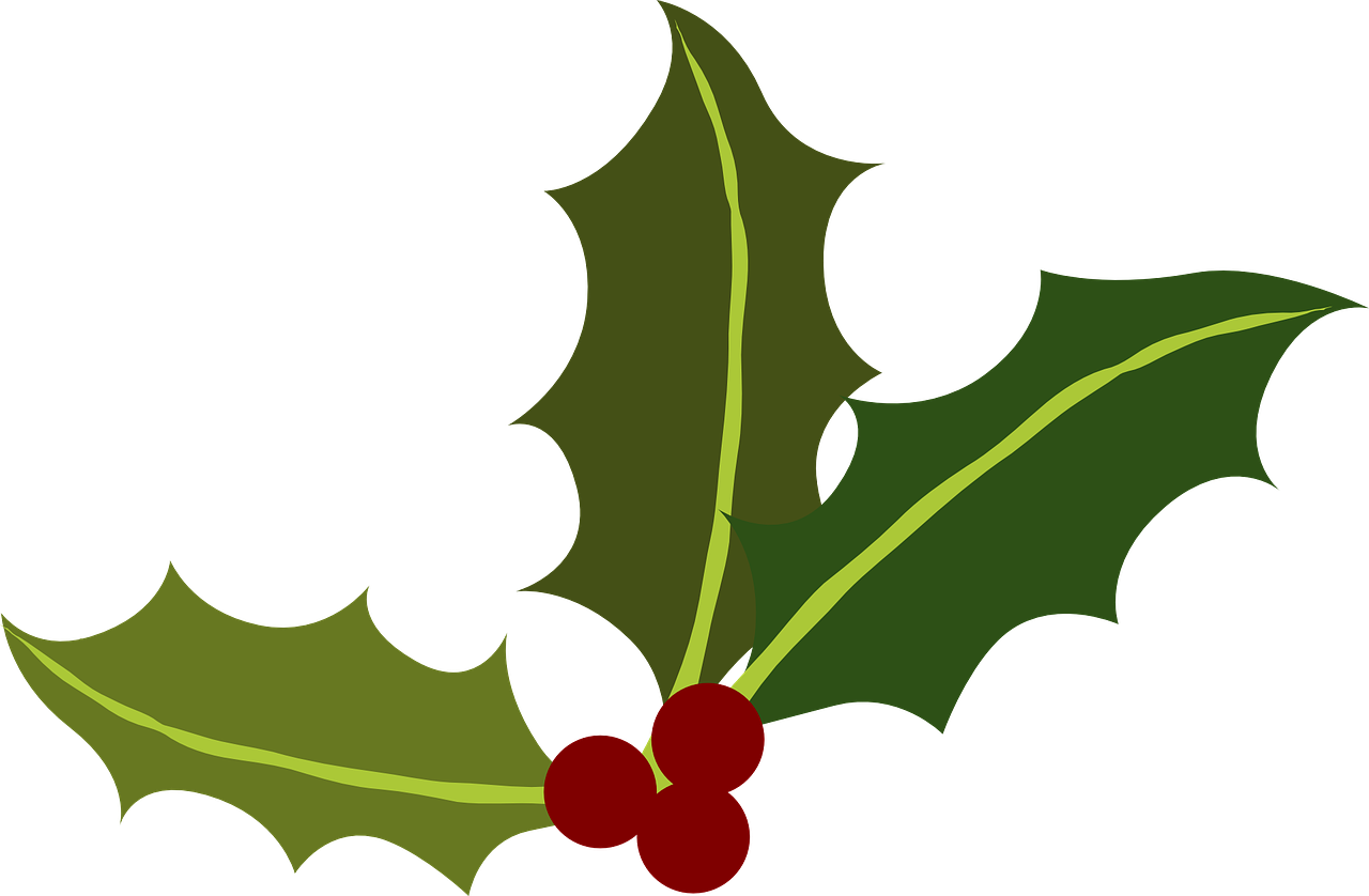 A Green Holly With Red Berries