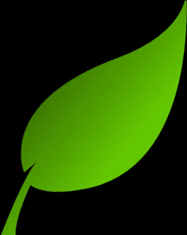 A Green Leaf On A Black Background
