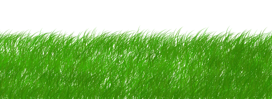 Green Png 929 X 340