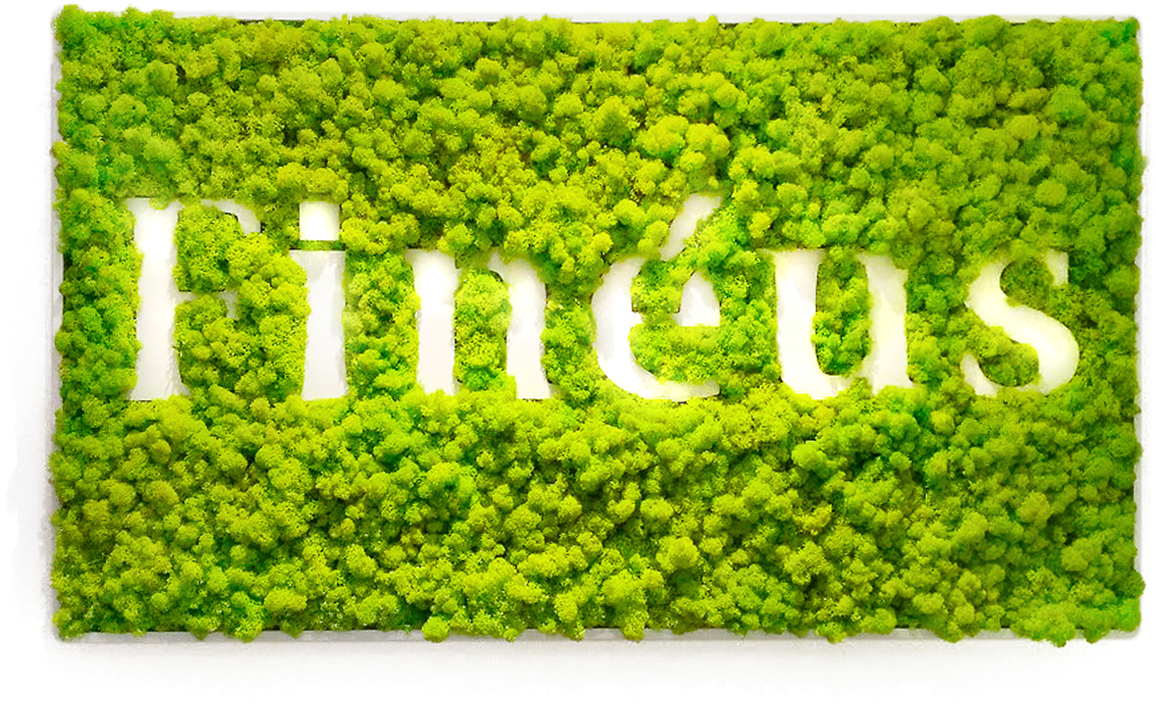 A Green Moss Covered Surface With A Word Cut Out