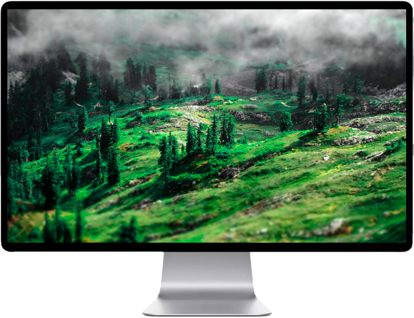 A Computer Monitor With Trees On It