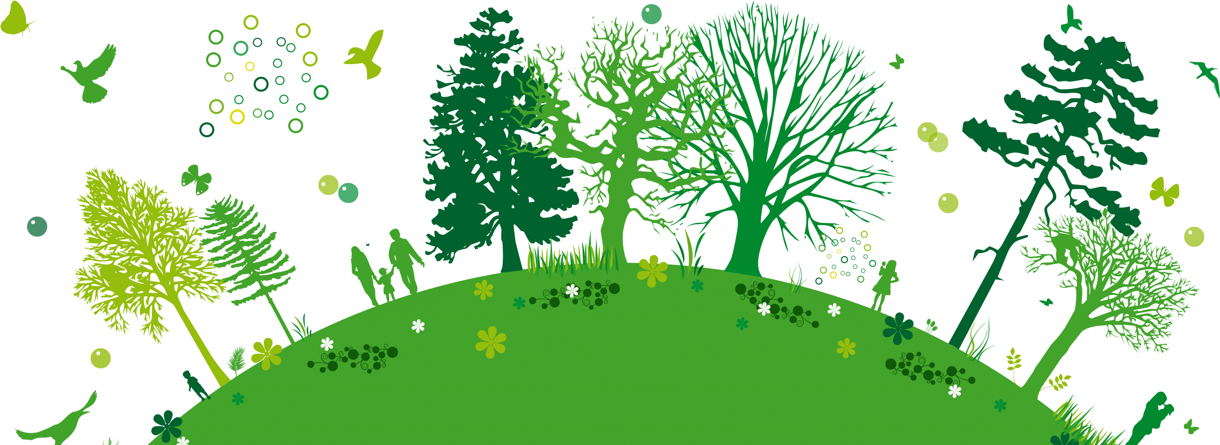 A Green Landscape With Trees And Butterflies